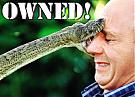 Click image for larger version

Name:	ownedsnake-BuudWeizErr.jpg
Views:	321
Size:	49.4 KB
ID:	3275
