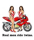Click image for larger version

Name:	TWINS%20SUPERHAWK%20RED%20SM.jpg
Views:	395
Size:	15.0 KB
ID:	3866