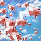 Click image for larger version

Name:	pigs_flying.jpg
Views:	352
Size:	38.8 KB
ID:	5182